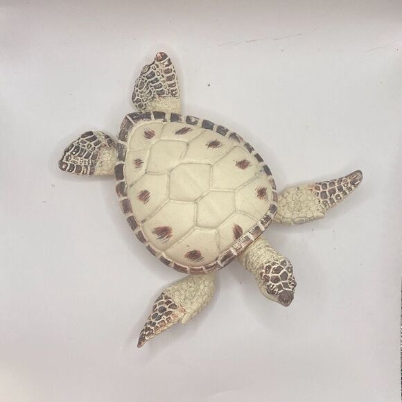 Ceramic Sea Turtle Trinket Box Cream White 6x6 Home Decor Beachy Vibes - Picture 2 of 9